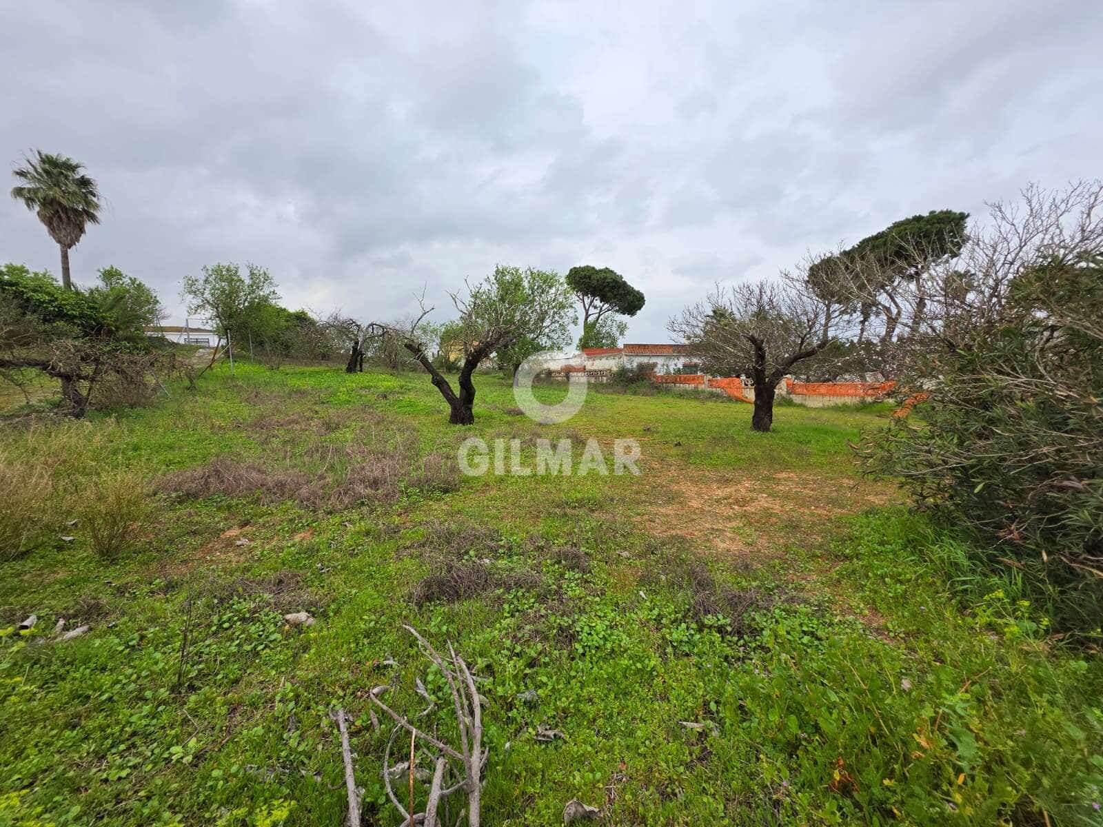 2 quarto Moradia para venda em Chiclana de la Frontera com piscina garagem - 350 000 € (Ref: 9949026)