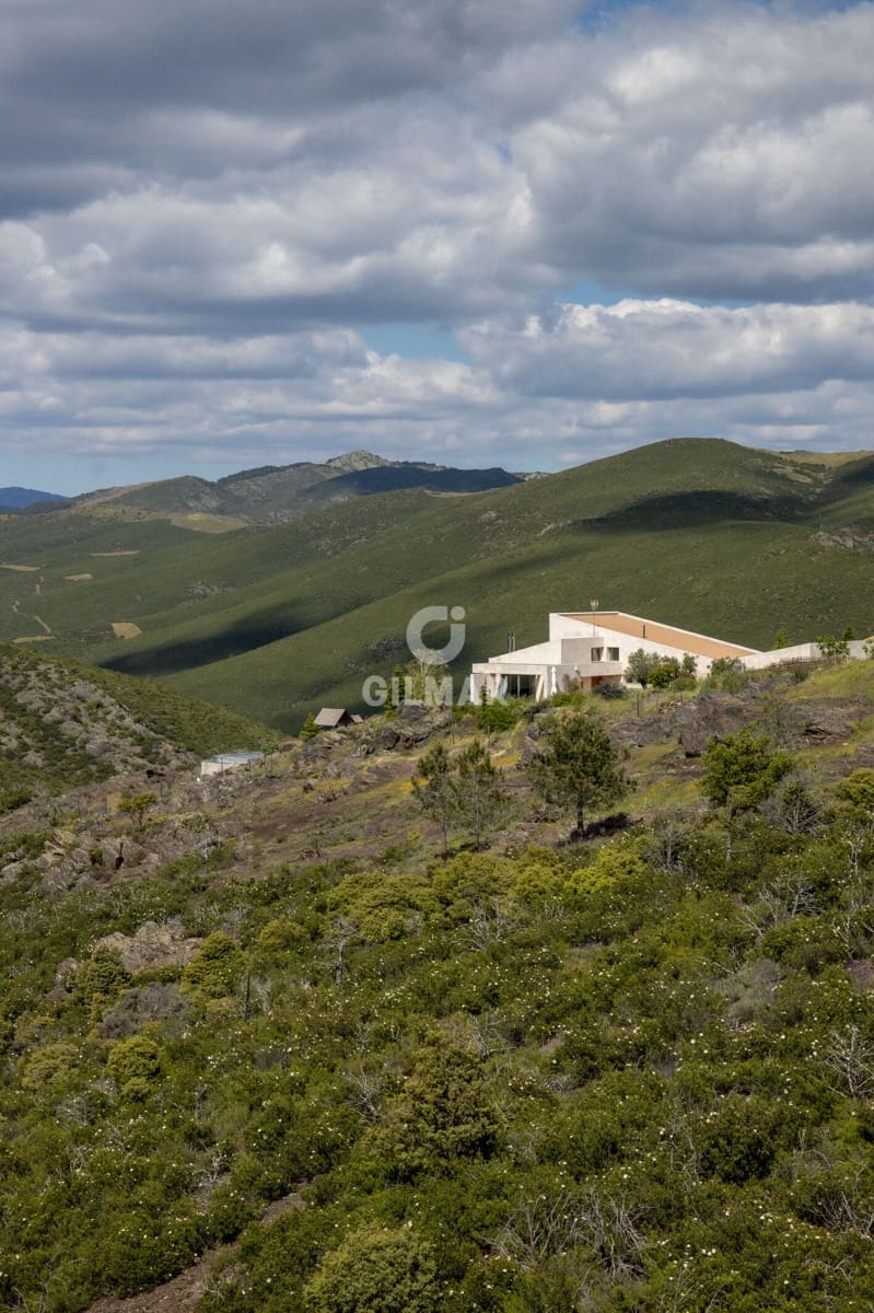 6 camera da letto Villa in vendita in Torremocha de Jarama con piscina garage - 1.200.000 € (Rif: 9949029)