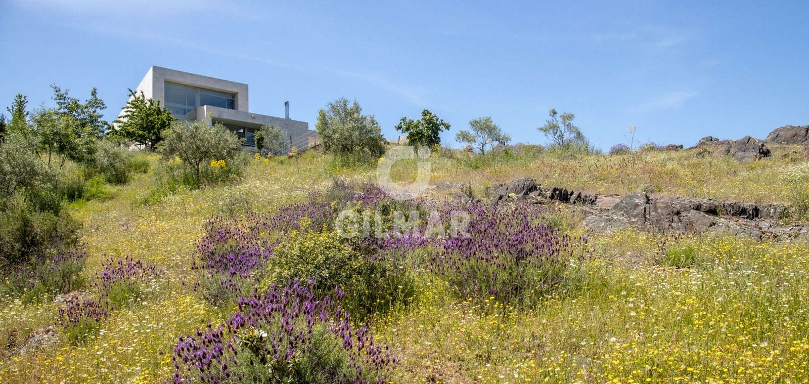 6 camera da letto Villa in vendita in Torremocha de Jarama con piscina garage - 1.200.000 € (Rif: 9949029)