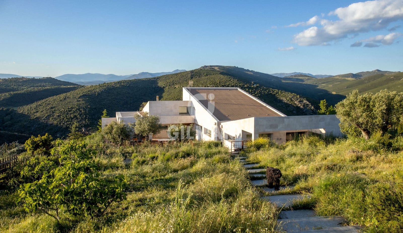 6 camera da letto Villa in vendita in Torremocha de Jarama con piscina garage - 1.200.000 € (Rif: 9949029)