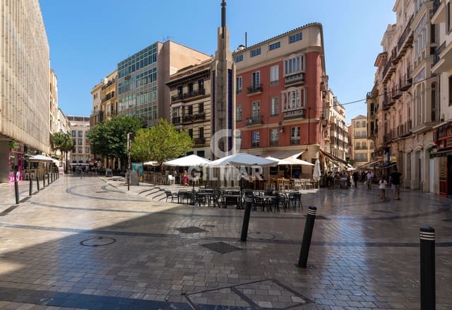 4 Zimmer Wohnung zu verkaufen in Centro Historico, Málaga Stadt - 745.000 € (Ref: 9989277)