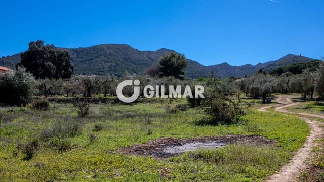 Tontti myytävänä paikassa Pinos de Alhaurin, Alhaurín de la Torre - 1 490 000 € (Ref: 9989487)