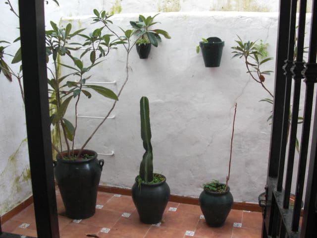 3 bedroom Flat for sale in Vejer de la Frontera - € 200,000 (Ref: 4751840)