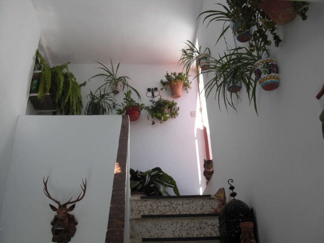 3 bedroom Townhouse for sale in Vejer de la Frontera - € 260,000 (Ref: 4751856)