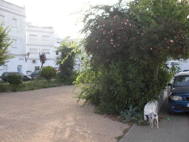 Undeveloped Land for sale in Vejer de la Frontera - € 120,000 (Ref: 4751891)