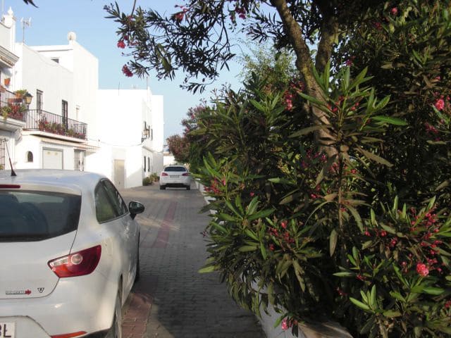 Undeveloped Land for sale in Vejer de la Frontera - € 120,000 (Ref: 4751891)