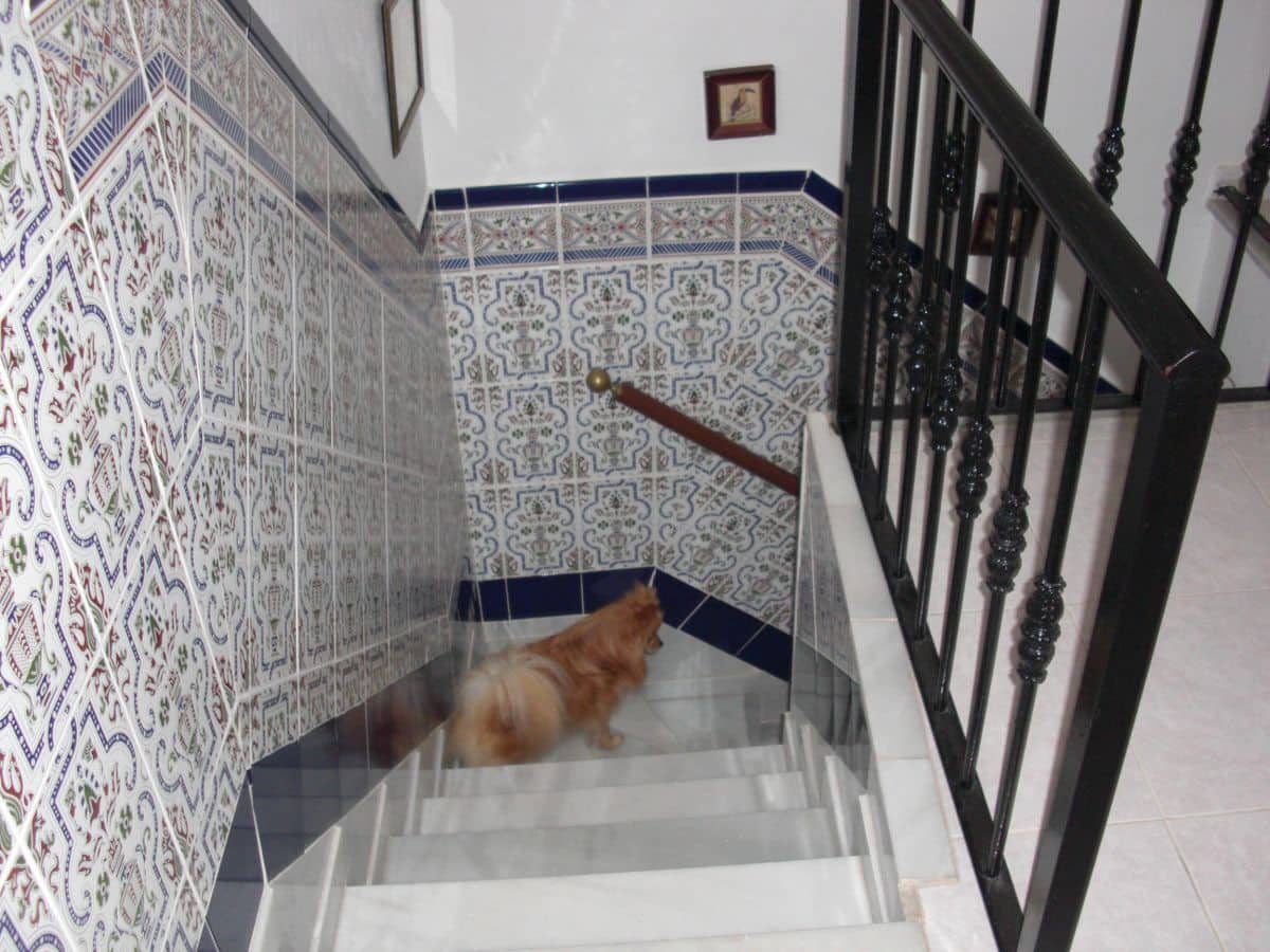 Casa de 6 habitaciones en Vejer de la Frontera en venta - 325.000 € (Ref: 4751956)