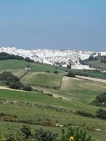 3 slaapkamer Finca/Landhuis te koop in Vejer de la Frontera - € 500.000 (Ref: 8207561)