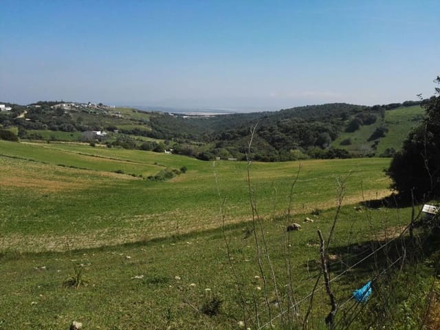 3 slaapkamer Finca/Landhuis te koop in Vejer de la Frontera - € 500.000 (Ref: 8207561)