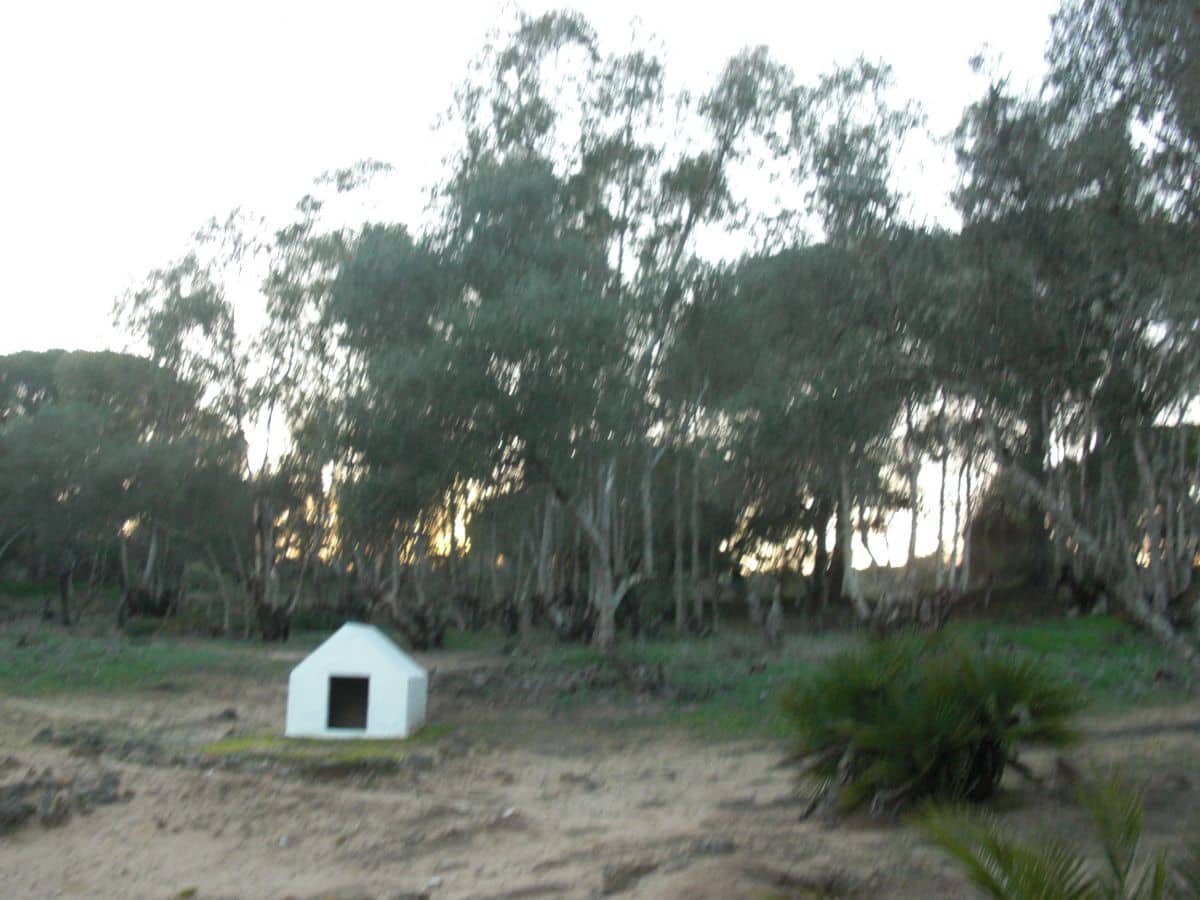 Finca/Casa Rural en Vejer de la Frontera en venta - 425.000 € (Ref: 8207563)