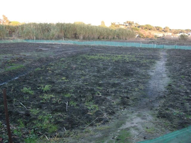 Finca/Casa Rural en Vejer de la Frontera en venta - 425.000 € (Ref: 8207563)