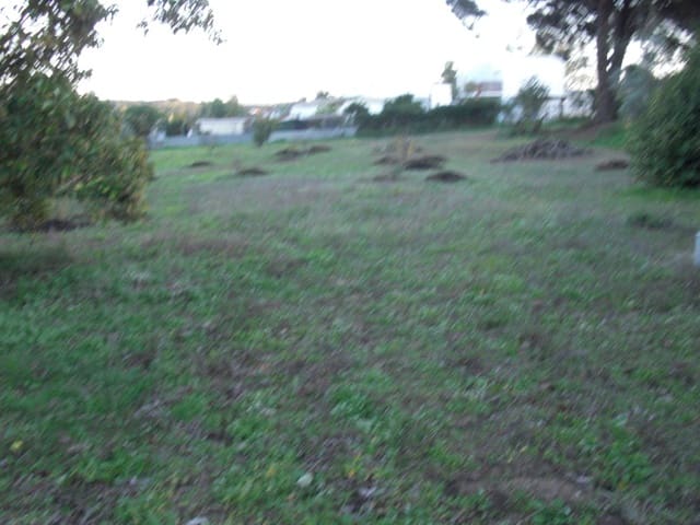 Finca/Casa Rural en Vejer de la Frontera en venta - 425.000 € (Ref: 8207563)