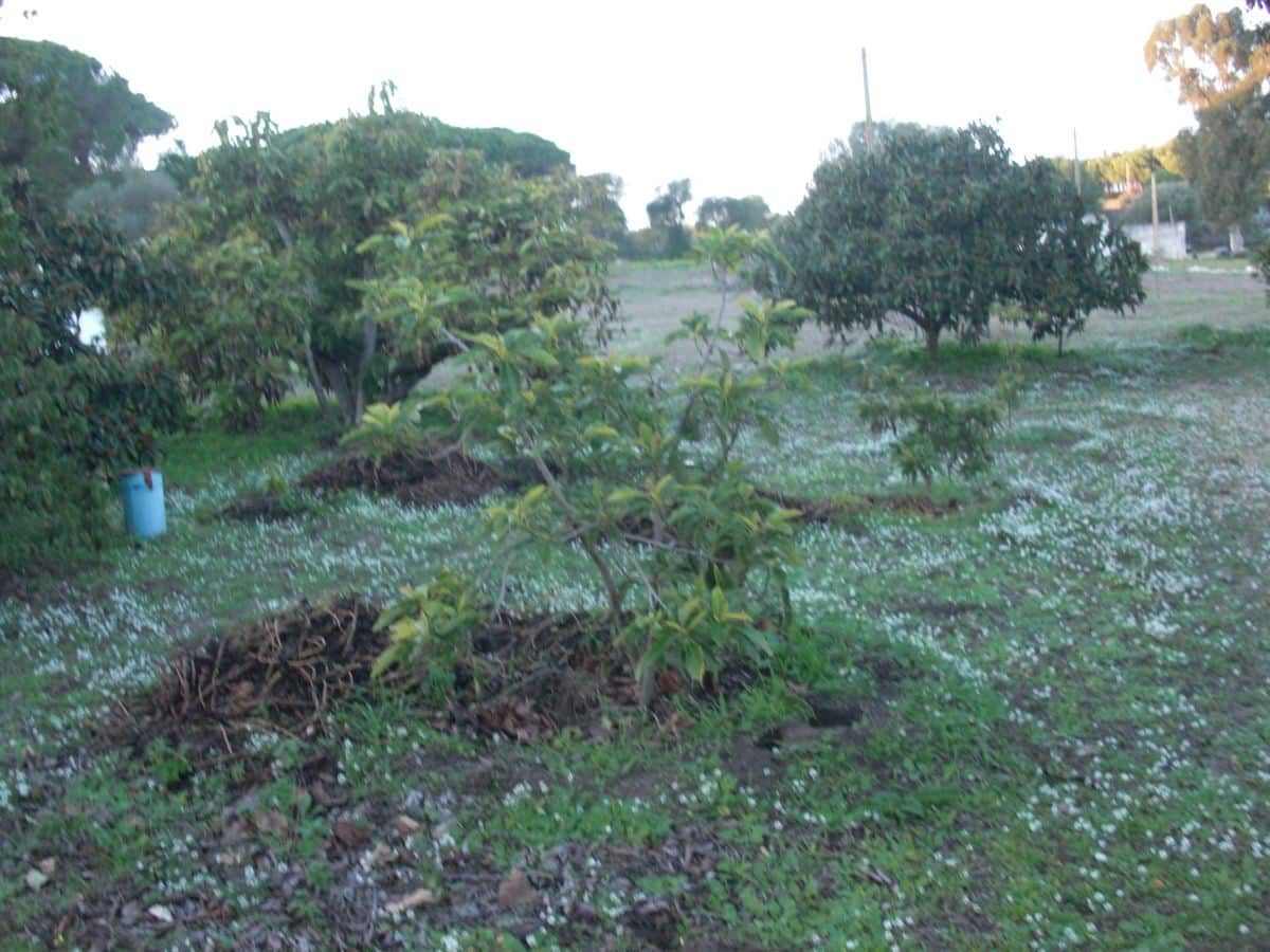 Finca/Casa Rural en Vejer de la Frontera en venta - 425.000 € (Ref: 8207563)