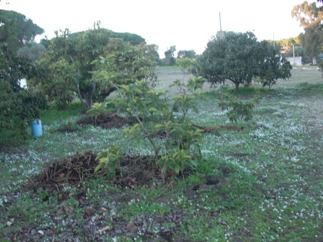 Finca/Casa Rural en Vejer de la Frontera en venta - 425.000 € (Ref: 8207563)
