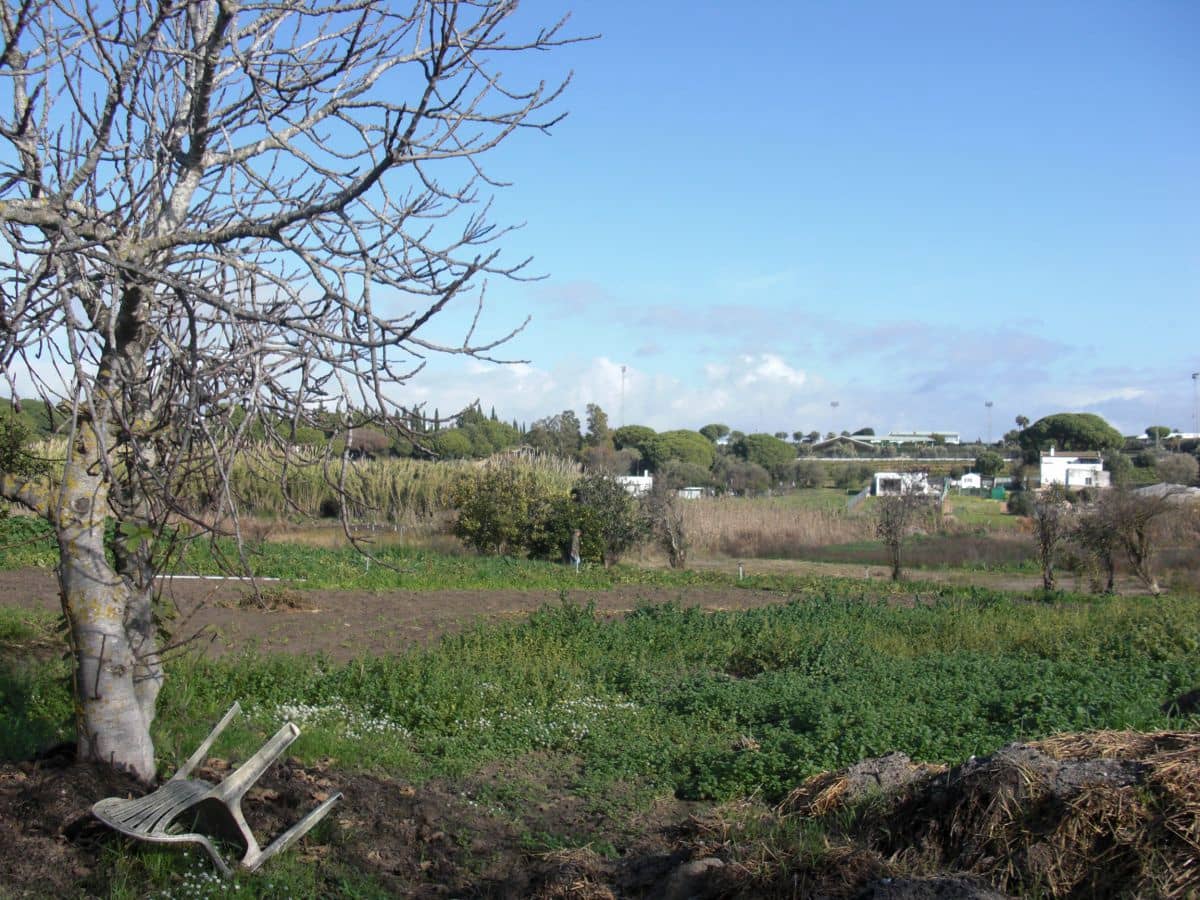 Finca/Country House for sale in Vejer de la Frontera - € 350,000 (Ref: 8207564)