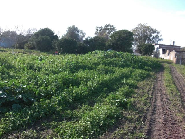 Finca/Country House for sale in Vejer de la Frontera - € 350,000 (Ref: 8207564)
