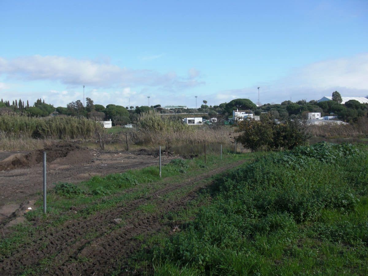 Finca/Country House for sale in Vejer de la Frontera - € 350,000 (Ref: 8207564)