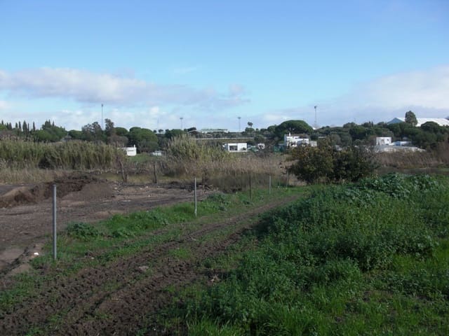 Finca/Country House for sale in Vejer de la Frontera - € 350,000 (Ref: 8207564)