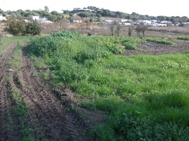 Finca/Country House for sale in Vejer de la Frontera - € 350,000 (Ref: 8207564)