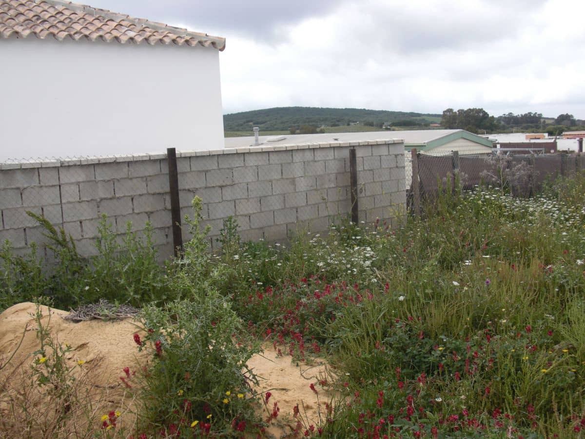 Finca/Country House for sale in Vejer de la Frontera - € 90,000 (Ref: 8207572)