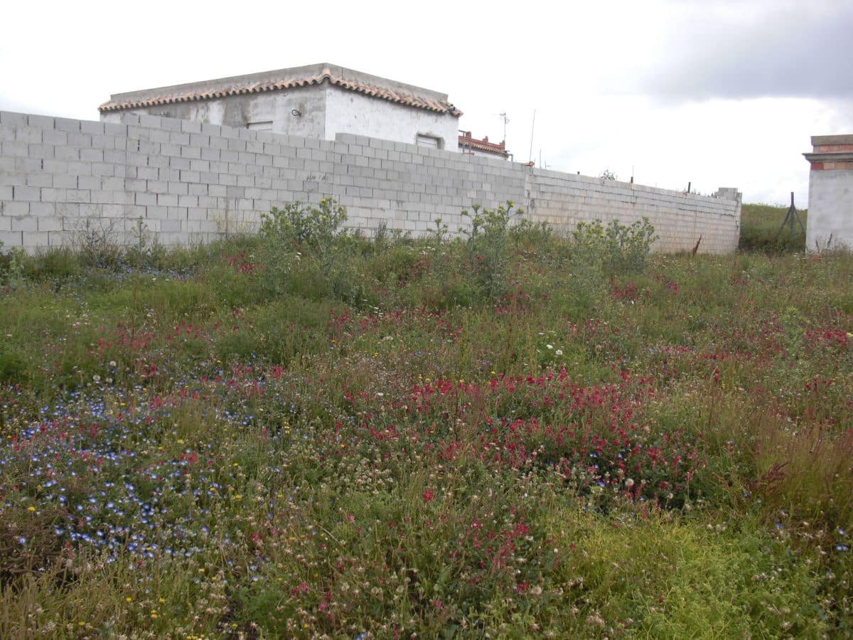 Finca/Country House for sale in Vejer de la Frontera - € 90,000 (Ref: 8207572)