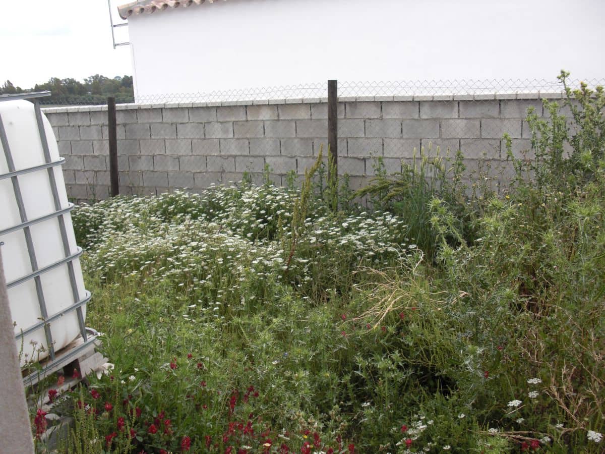 Finca/Country House for sale in Vejer de la Frontera - € 90,000 (Ref: 8207572)