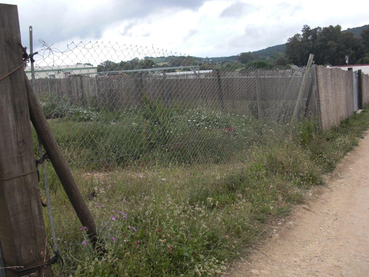 Finca/Country House for sale in Vejer de la Frontera - € 90,000 (Ref: 8207572)