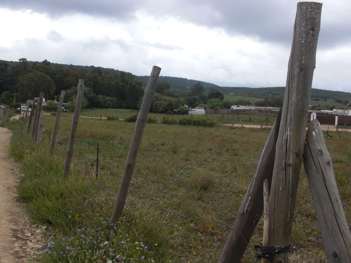 Finca/Country House for sale in Vejer de la Frontera - € 90,000 (Ref: 8207572)