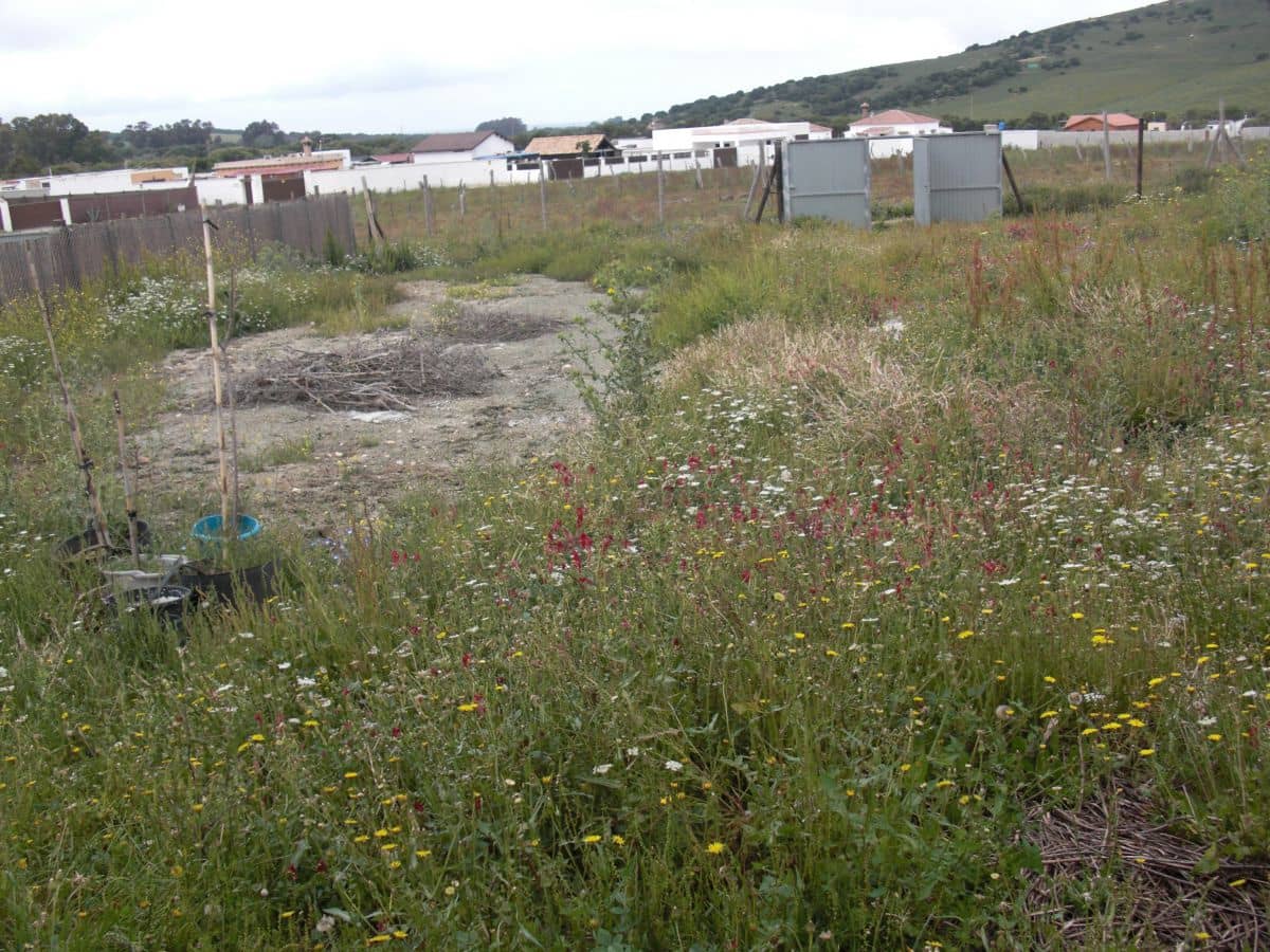 Finca/Country House for sale in Vejer de la Frontera - € 90,000 (Ref: 8207572)