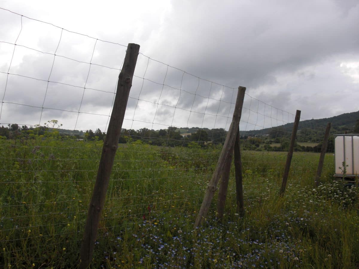 Finca/Country House for sale in Vejer de la Frontera - € 90,000 (Ref: 8207572)