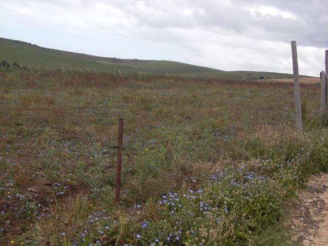 Finca/Country House for sale in Vejer de la Frontera - € 90,000 (Ref: 8207572)