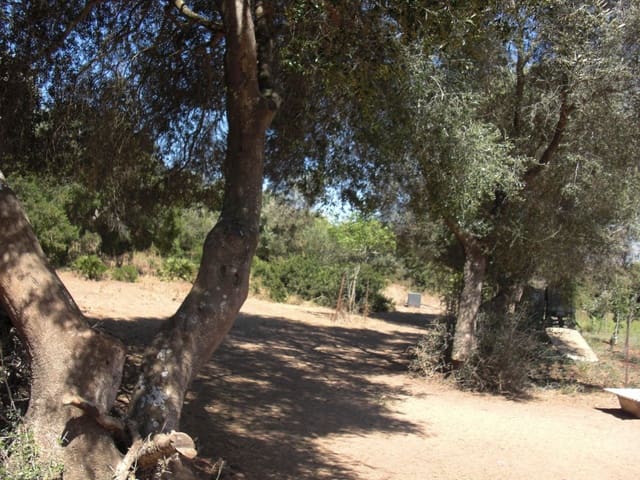 Finca/Country House for sale in Vejer de la Frontera - € 350,000 (Ref: 8207573)