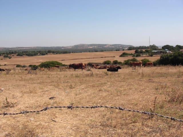 Finca/Country House for sale in Vejer de la Frontera - € 350,000 (Ref: 8207573)