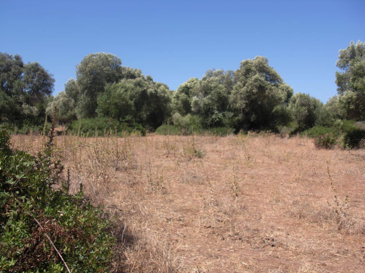 Finca/Country House for sale in Vejer de la Frontera - € 350,000 (Ref: 8207573)