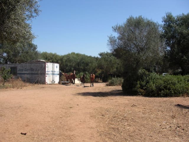 Finca/Country House for sale in Vejer de la Frontera - € 350,000 (Ref: 8207573)