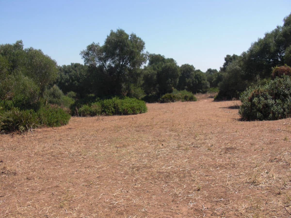 Finca/Country House for sale in Vejer de la Frontera - € 350,000 (Ref: 8207573)