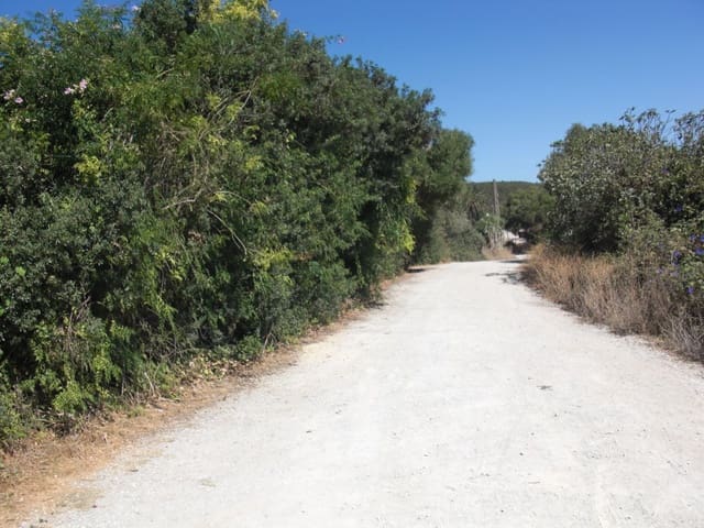 Finca/Country House for sale in Vejer de la Frontera - € 500,000 (Ref: 8207575)