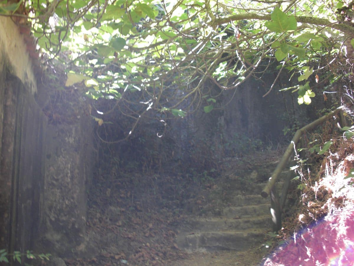 Finca/Country House for sale in Vejer de la Frontera - € 500,000 (Ref: 8207575)