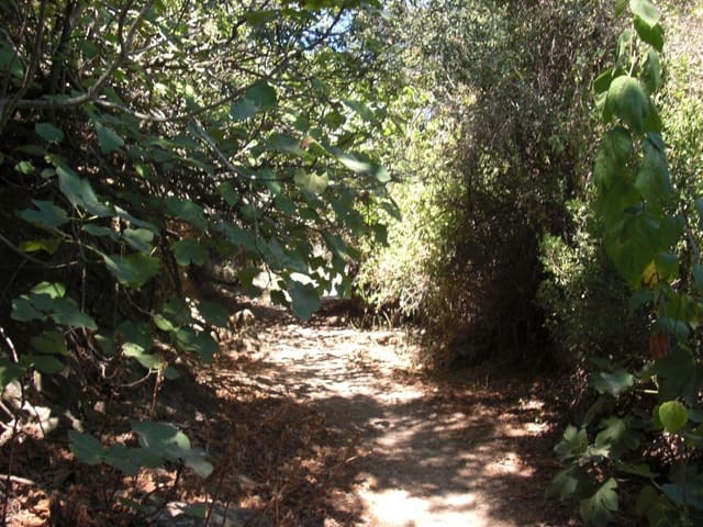 Finca/Country House for sale in Vejer de la Frontera - € 500,000 (Ref: 8207575)