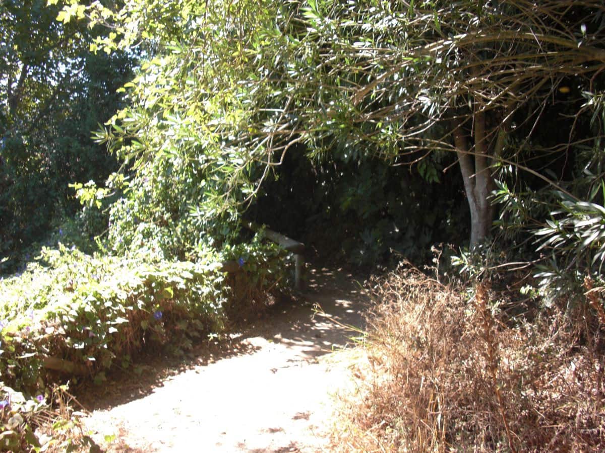 Finca/Country House for sale in Vejer de la Frontera - € 500,000 (Ref: 8207575)