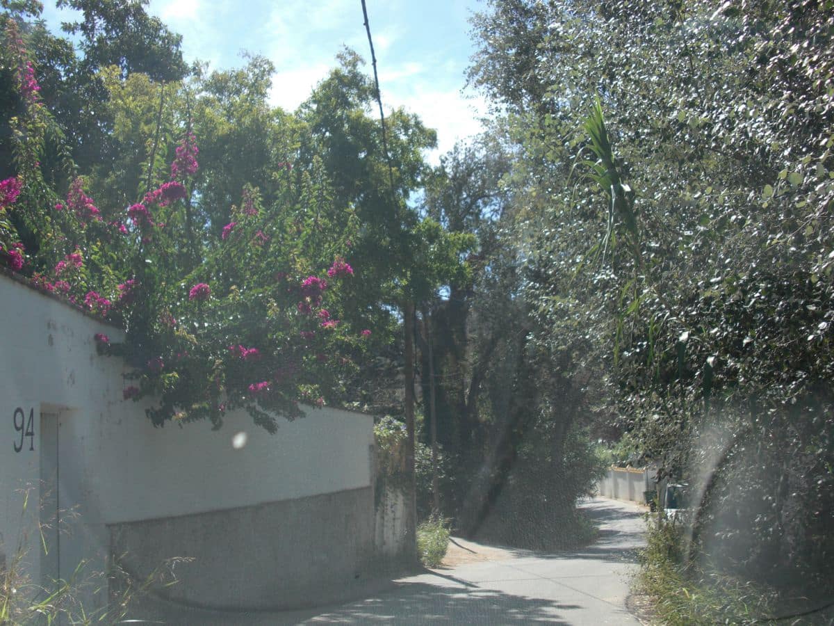 Finca/Country House for sale in Vejer de la Frontera - € 500,000 (Ref: 8207575)