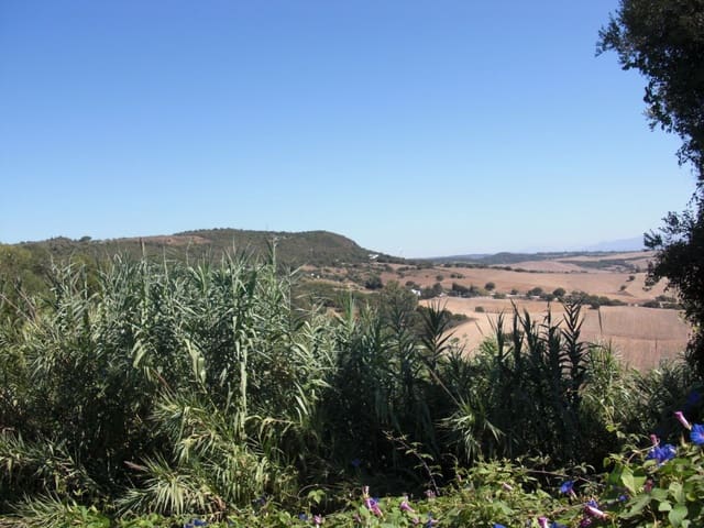 Finca/Country House for sale in Vejer de la Frontera - € 500,000 (Ref: 8207575)