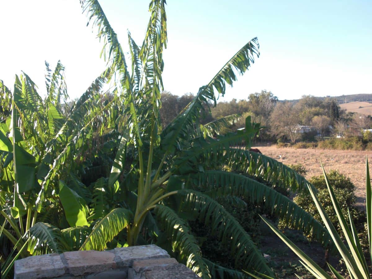 Finca/Casa Rural de 6 habitaciones en Vejer de la Frontera en venta - 400.000 € (Ref: 8207577)