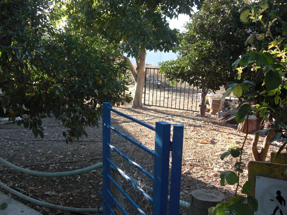 Finca/Casa Rural de 6 habitaciones en Vejer de la Frontera en venta - 400.000 € (Ref: 8207577)