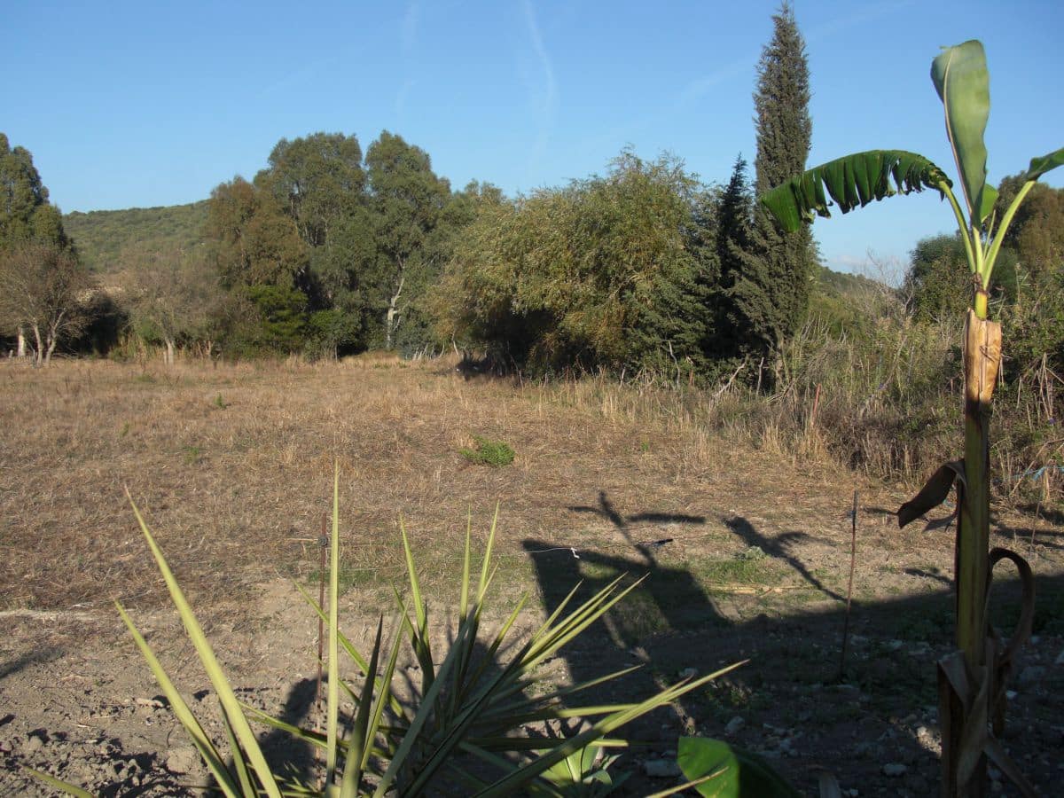 Finca/Casa Rural de 6 habitaciones en Vejer de la Frontera en venta - 400.000 € (Ref: 8207577)