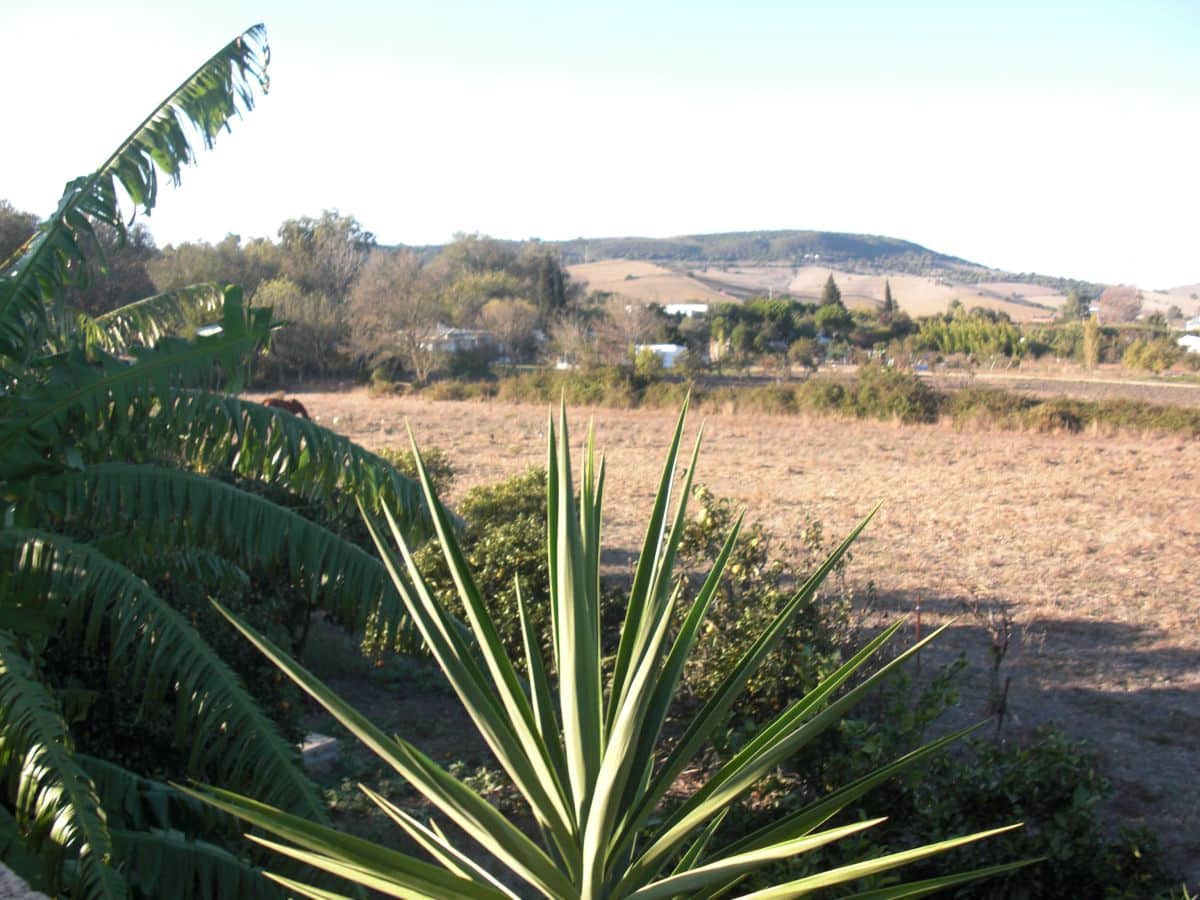 Finca/Casa Rural de 6 habitaciones en Vejer de la Frontera en venta - 400.000 € (Ref: 8207577)