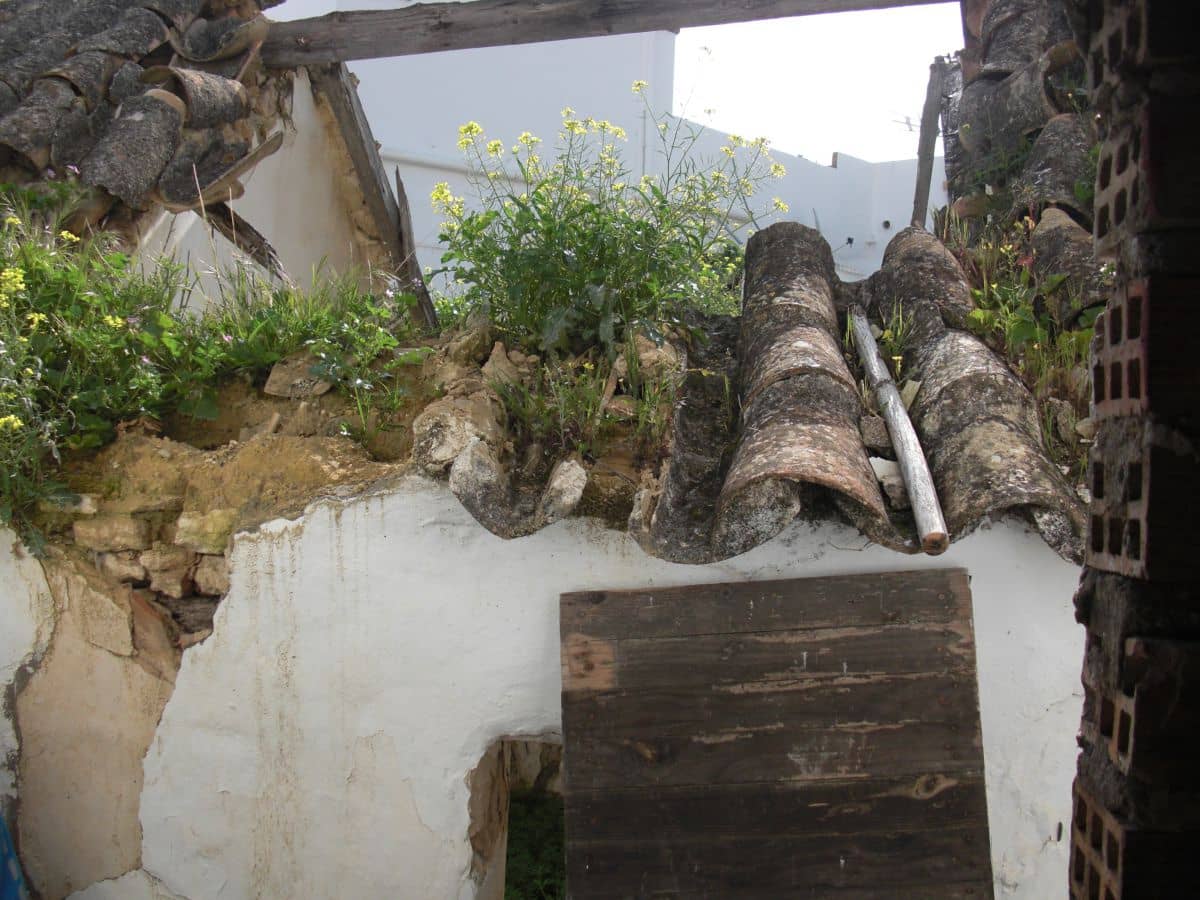 3 slaapkamer Huis te koop in Vejer de la Frontera - € 150.000 (Ref: 8207586)