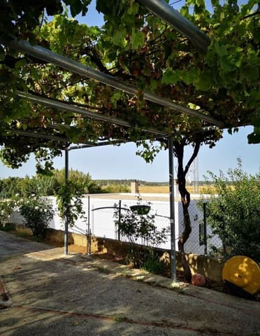 Finca/Country House for sale in Vejer de la Frontera - € 150,000 (Ref: 8207589)