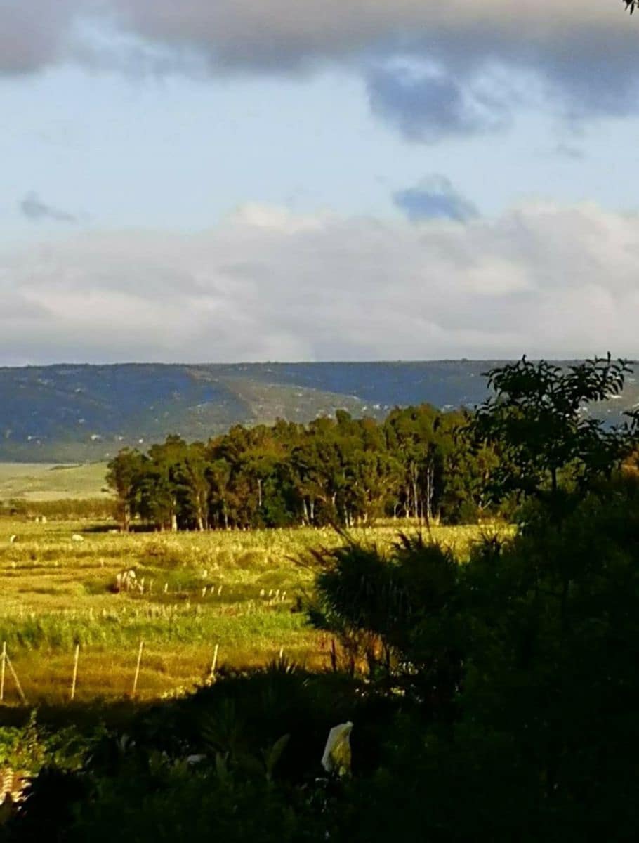 Finca/Country House for sale in Vejer de la Frontera - € 150,000 (Ref: 8207589)