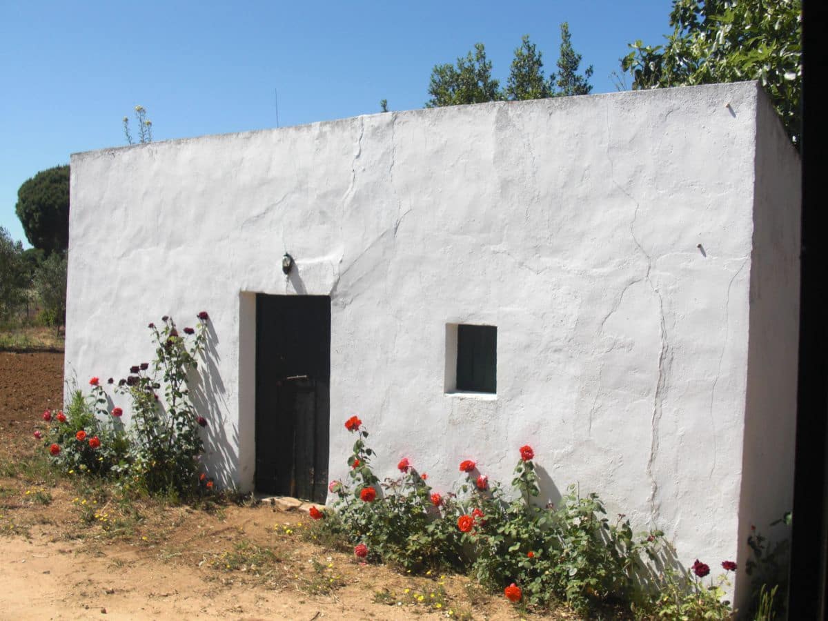 Finca/Country House for sale in Vejer de la Frontera - € 240,000 (Ref: 9502716)